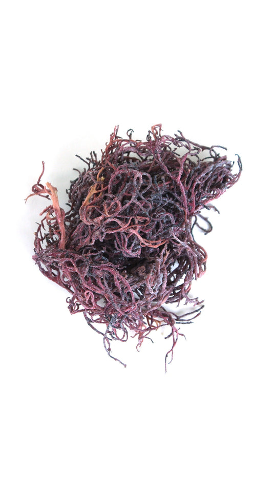 Wildcrafted Purple Seamoss
