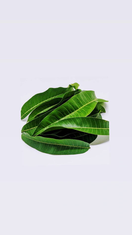 Mango Leaves
